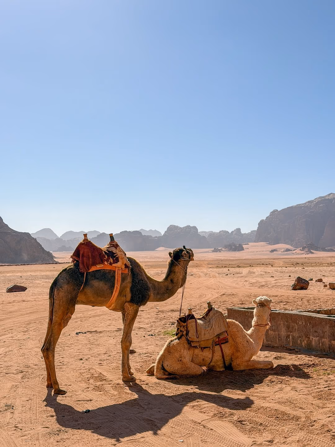 Traveler in Jordan desert with proper packing and clothing